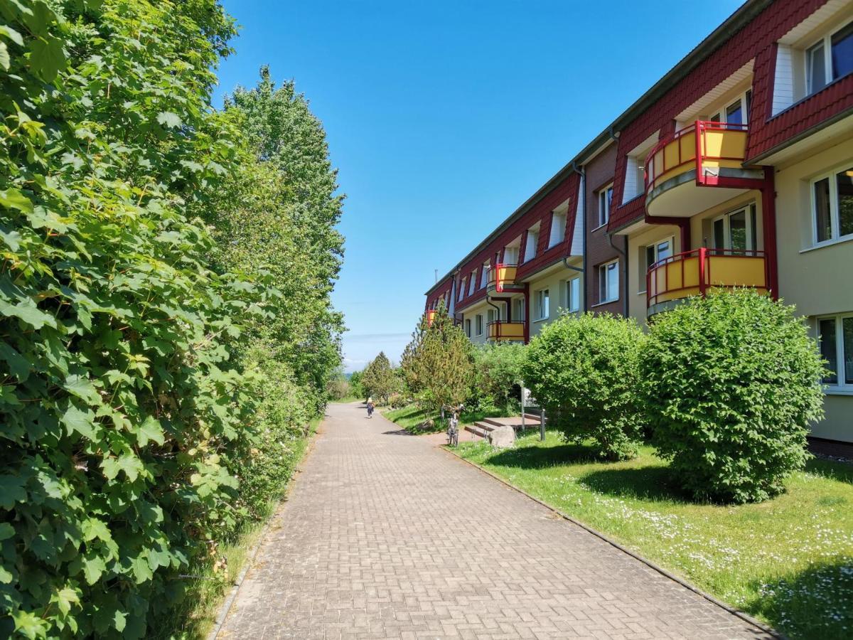 Kleine Am In Appartement